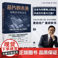 芯片的未来 制衡世界的技术 财之道丛书 揭示半导体新世界 激荡环境及应对方法 芯片未来发展趋势分析 芯片战争