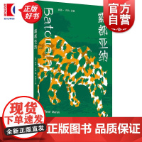 霸都亚纳 非洲法语文学译丛 赫勒马郎著上海译文出版社外国文学法国现代长篇小说