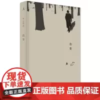 豹变 木心生前的 心愿之作 木心小说选 艺术家的成长史 广西师范大学出版社