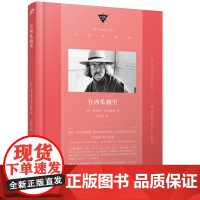 在西瓜糖里(中经典精选·软精装)