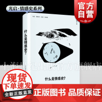 什么是情感史 王晴佳著光启书局史学理论史学情感妇女中国近代思想文化世界史