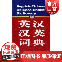 英汉汉英词典 译文版 高永伟 郑守疆 王璞 徐海 著 外语工具书 文化教育 正版图书籍 上海译文 世纪出版