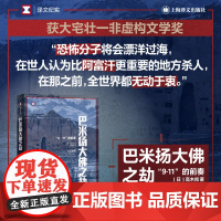 巴米扬大佛之劫 高木彻著阿富汗社会现状塔利班与基地组织译文纪实系列上海译文出版社