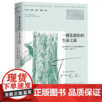 一棵花旗松的生命之旅 卡林加奖得主铃木大卫经典内附精美插图进化论自然科学科普百科全书书籍