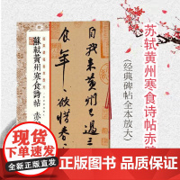 正版 苏轼黄州寒食诗帖赤壁赋 经典碑帖全本放大 书学者临摹学习实用手册 甄选古代经典碑帖传世善本 原色放大 上海书画