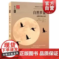 自然罗盘 当代科普名著系列 詹姆斯L古尔德/卡萝尔格兰特古尔德 科普读物 生物世界 动物导航之谜 上海科技教育