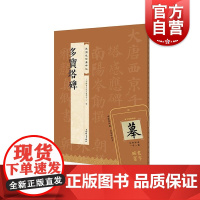 多宝塔碑 视频版经典碑帖上海辞书出版社