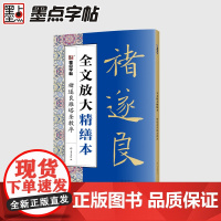 褚遂良雁塔圣教序/全文放大精缮本