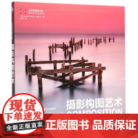 摄影构图艺术 摄影构图与色彩设计基础教程近200幅 美摄影名作剖析数码单反摄影构图技法教程书籍从入门到精通新手学技巧书