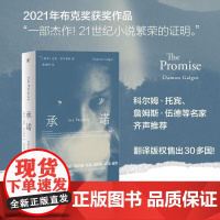 承诺 达蒙 加尔格特 如海浪翻涌 如镜头游移 讲述一家一国的命运与前途 外国小说 广西师范大学出版社