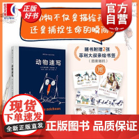 动物速写 跟菲利大叔学手绘德菲利克斯沙因伯格上海人民美术出版社素描绘画基础艺术水彩动物速写速写插画自学