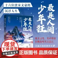 最是人间少年狂