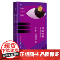 我喜欢你是寂静的:聂鲁达情诗集