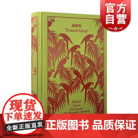 金银岛 企鹅布纹经典英罗伯特路易斯斯蒂文森上海译文出版社名著经典冒险海盗寻宝探险小说