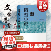微型小说鉴赏辞典第三版 文学鉴赏辞典系列江曾培主编上海辞书出版社中外小说的艺术第3版收录中国古代文学作品