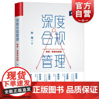 深度合规管理--体系、审查与实践 孙旭著 全球化面临的问题和趋势 合规体系构建评估方法模型构建 金融管理 格致出版社