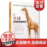 正版 牛津艺用动物解剖学 中英对照版500幅常见动物解剖结构示意图动物骨骼与肌肉运动结构教学工具书籍 上海人民美术