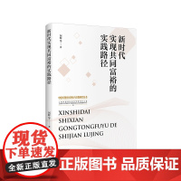 新时代实现共同富裕的实践路径 上海人民出版社