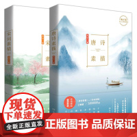 唐诗素描+宋词素描 共两本 曾冬意境读本 中国古诗词鉴赏 古代诗词文学中学生小学生初中生课外读物辞典书籍