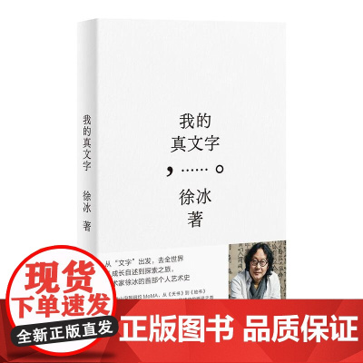 我的真文字 徐冰著 中国当代散文集 个人艺术集 艺术与人生正版图书籍 辽宁人民出版社