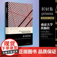 多元现代性/当代学术棱镜译丛 社会学系列 周宪 南京大学