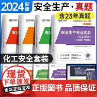 2024注册安全工程师[化工安全]试卷套装 全4册