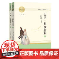 人教系列-大卫·科波菲尔 (全两册)