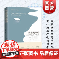 改变的策略 如何简短地做心理治疗上海科学技术出版社困难案例的短程心理治疗姊妹篇西医心理学治疗技术方法