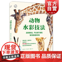 动物水彩技法 大卫·韦伯著上海人民美术出版社40余种家养及野生动物水彩创作范画临摹纹理绘画教学步骤演示书籍