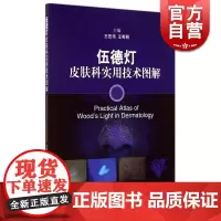 伍德灯皮肤科实用技术图解 王宏伟,王秀丽 皮肤/性病学 西医医学 医药卫生 上海科技 世纪出版