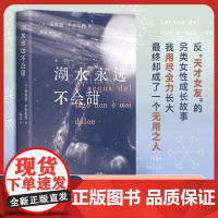湖水永远不会甜 意茱莉亚卡米尼托南海出版公司