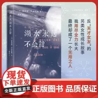 湖水永远不会甜 意茱莉亚卡米尼托南海出版公司