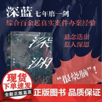 2024豆瓣年度书单]深渊 《三大队》原著作者/职业警察深蓝七年磨一剑,综合百余次办案经验,刑侦悬疑长篇 深蓝 中信出版