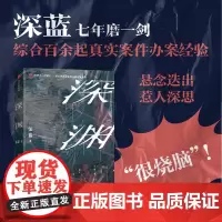 2024豆瓣年度书单]深渊 《三大队》原著作者/职业警察深蓝七年磨一剑,综合百余次办案经验,刑侦悬疑长篇 深蓝 中信出版