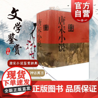 唐宋小说鉴赏辞典(精装) 中国文学鉴赏辞典大系 古代小说 神话寓言轶事志怪传奇话本 古代文学 上海辞书出版社