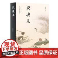 说魂儿 精装 第三版 栾保群 阴间知识百科指南,将鬼魂当作正经学问研究的*一人,探寻幽冥界的魂灵,揭秘阳世间的人性