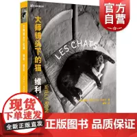 大师镜头下的猫——维利·罗尼 大师影像丛书 (法)维利·罗尼 著 樊婷 译 摄影艺术(新)艺术图书籍 上海人民美术出版社