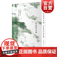 放逐的灵魂 张如凌诗歌选集上海人民出版社 另著中国红/法国蓝/红蓝如凌 中国现当代诗歌