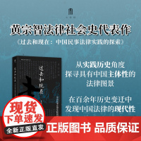 实践社会科学系列 过去和现在:中国民事法律实践的探索