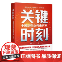 关键时刻:中国制造业何去何从 新望 著 全面解剖中国制造的当下与未来,直面全球产业链变局的危机与挑战 北京联合出版公司