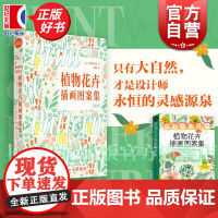 植物花卉插画图案集 设计新经典 鲍伊风尚 自然主题插画 商业设计参考书籍 创意灵感手册世界插画图案集 上海人民美术出版社