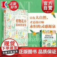 植物花卉插画图案集 设计新经典 鲍伊风尚 自然主题插画 商业设计参考书籍 创意灵感手册世界插画图案集 上海人民美术出版社