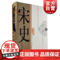宋史 陈振 精装 著名宋史专家之作 反映了当代宋史研究的新成果 中国大宋历史 古代历史 正版图书籍 上海人民出版社 世纪