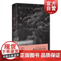 微型世界 克劳迪奥马格里斯 获意大利斯特雷加文学奖 游记小说 文化哲学 文化随笔 哲学思辨 外国文学 长篇小说 上海译文