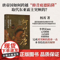 何以大唐唐帝国与突厥斗争史/经纬度 杨霄浙江人民出版社