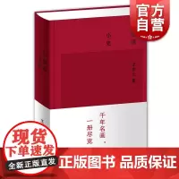 中国画小史 绘画理论 山水花鸟 艺术绘画 绘画书籍 中国绘画史 绘画发展史 上海辞书出版社