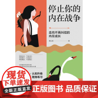 停止你的内在战争 黄仕明 与自我和解 请停止精神内耗 如何化解我们内心的冲突 自我疗愈心理学书籍 武志红、孙瑞雪