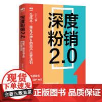 深度粉销2.0 低成本爆发式增长的用户运营法则 丁丁著 市场营销管理销售粉丝工场FANCTORY书籍私域流量直播书籍正版