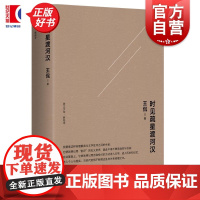 时见疏星渡河汉 王侃著上海人民出版社文学批评理论