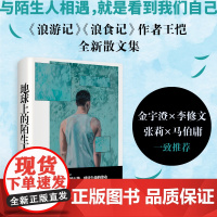 地球上的陌生人 王恺 中国民间本色 当代生活的吃穿用度婚丧仪轨财富与景观口味与风俗物质世界生老病死 当代中国民间生活的气